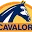 cavalorshop.com