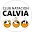 cncalvia.es