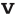 v