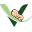 v