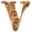 v