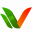 v