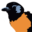 v