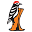 c
