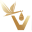 v
