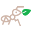 c