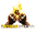c