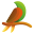c
