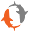 m