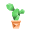 c