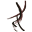 v
