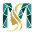 m