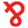 v