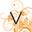 v