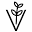 v