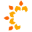 c