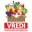 v