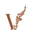 v