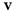 v