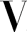 v