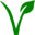 v