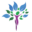 c