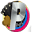 v