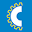 c