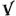 v