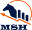 m