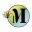 m