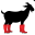 c