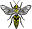 v