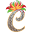 c