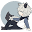c