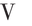 v