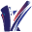 v