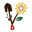c