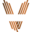 v
