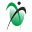 m