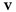 v