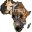 c