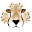 c