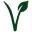 v