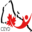 c