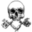 v