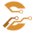 v