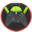 v