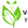 v