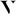 v